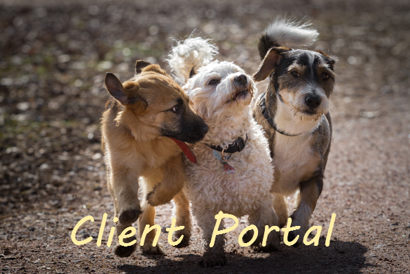 Client Portal