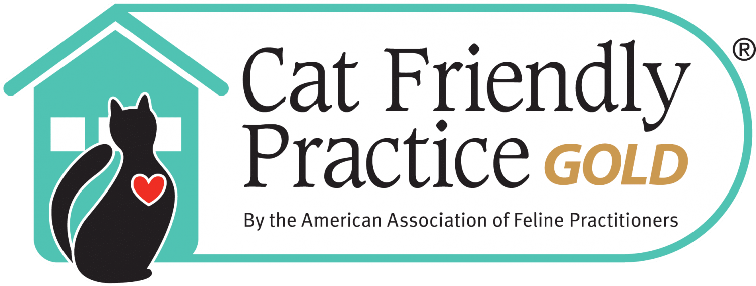 Cat Friendly Practice