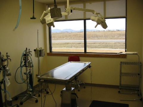 Surgical Suite